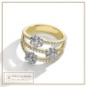 Anello NTSDM